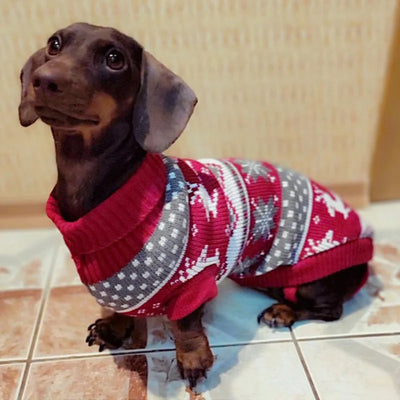 Knitted Sweater