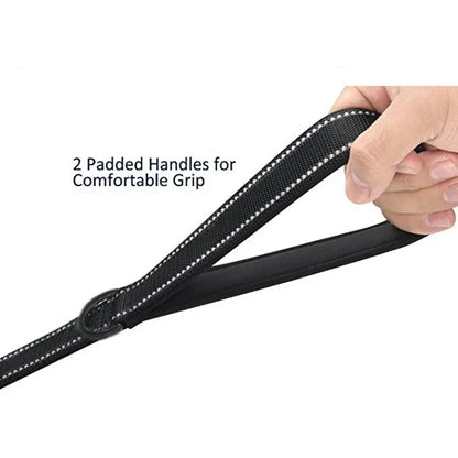 Dual Handle Lead