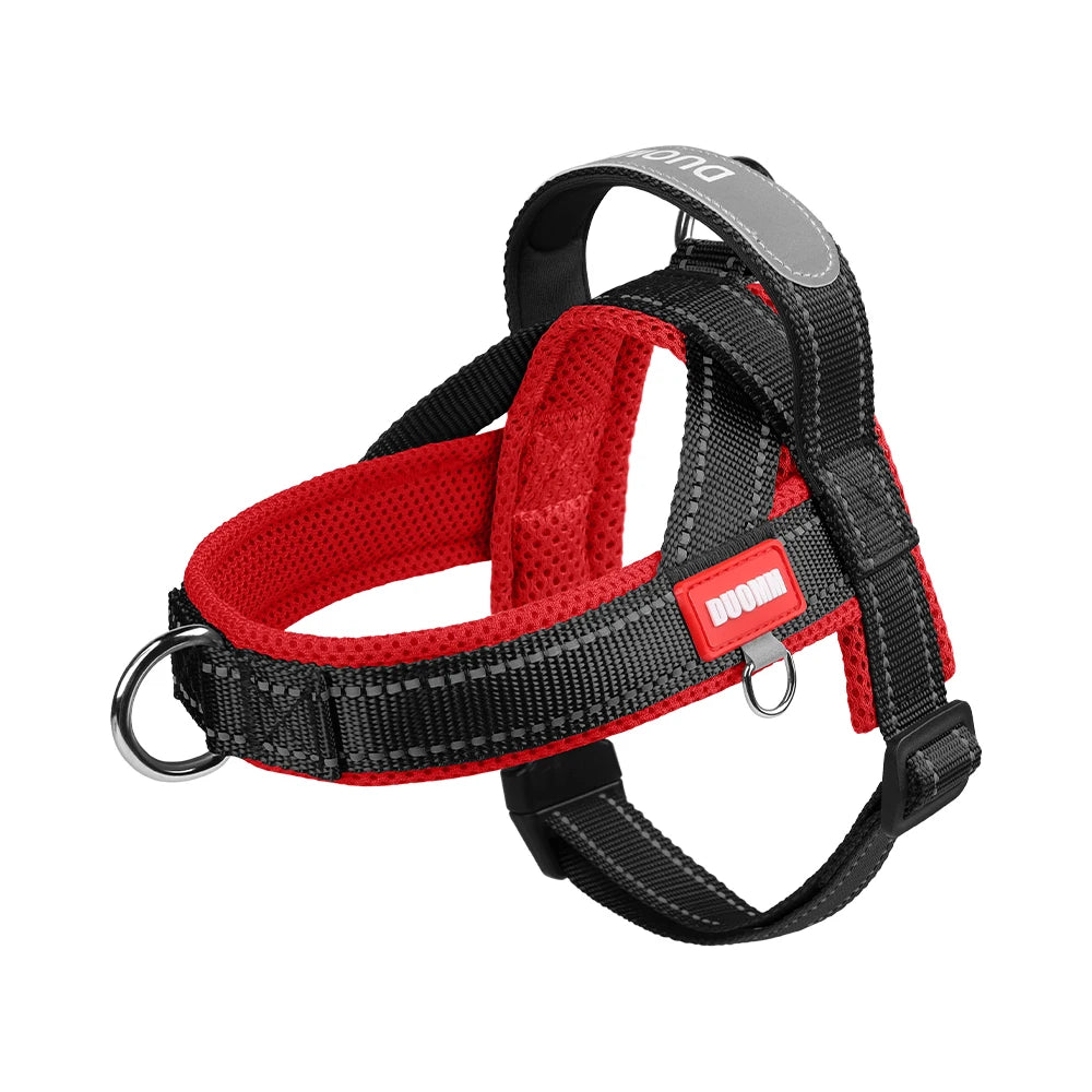 Saddle-Type Harness