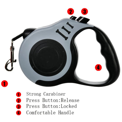 Retractable Lead