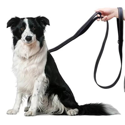 Dual Handle Lead