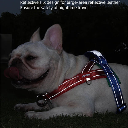 Saddle-Type Harness