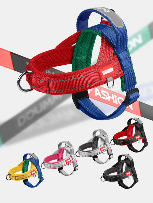 Saddle-Type Harness