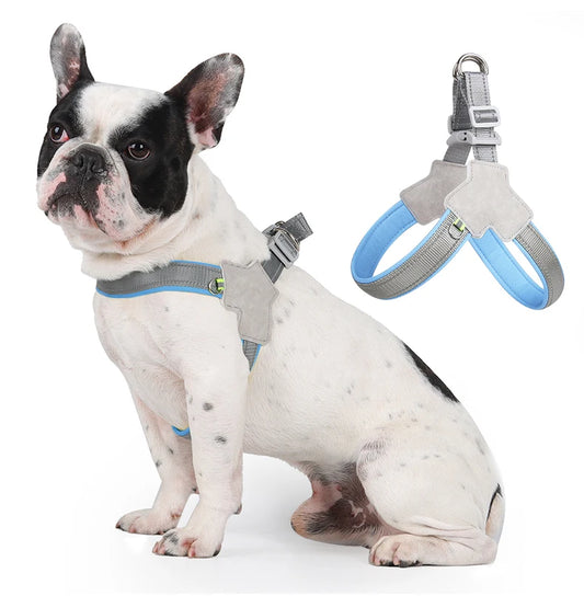 Saddle-Strap Harness