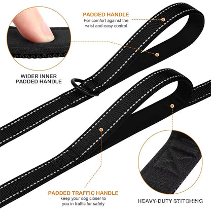 Dual Handle Lead
