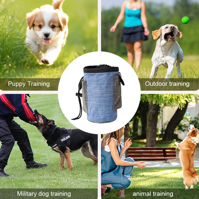 Training Treat Bag