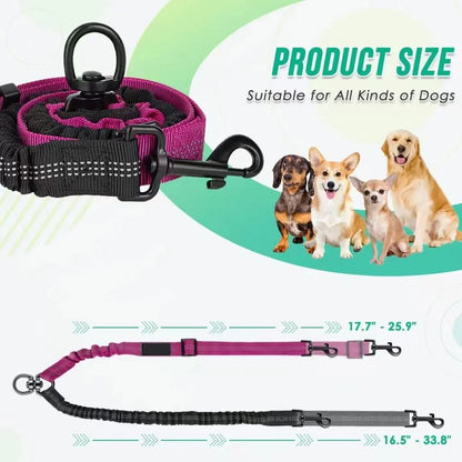 Dual Bungee Lead