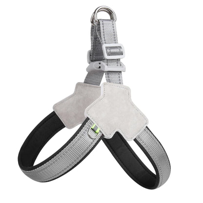 Saddle-Strap Harness