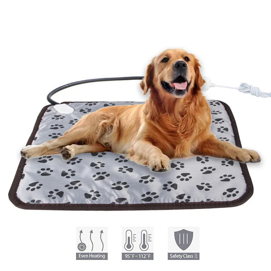 Electric Heating Pad