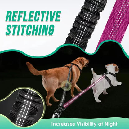 Dual Bungee Lead