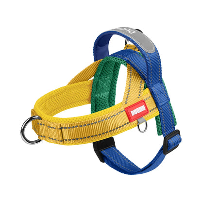 Saddle-Type Harness