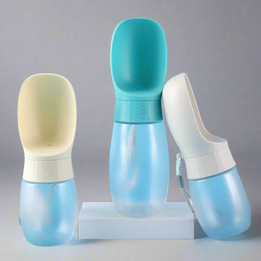 Portable Water Bottle