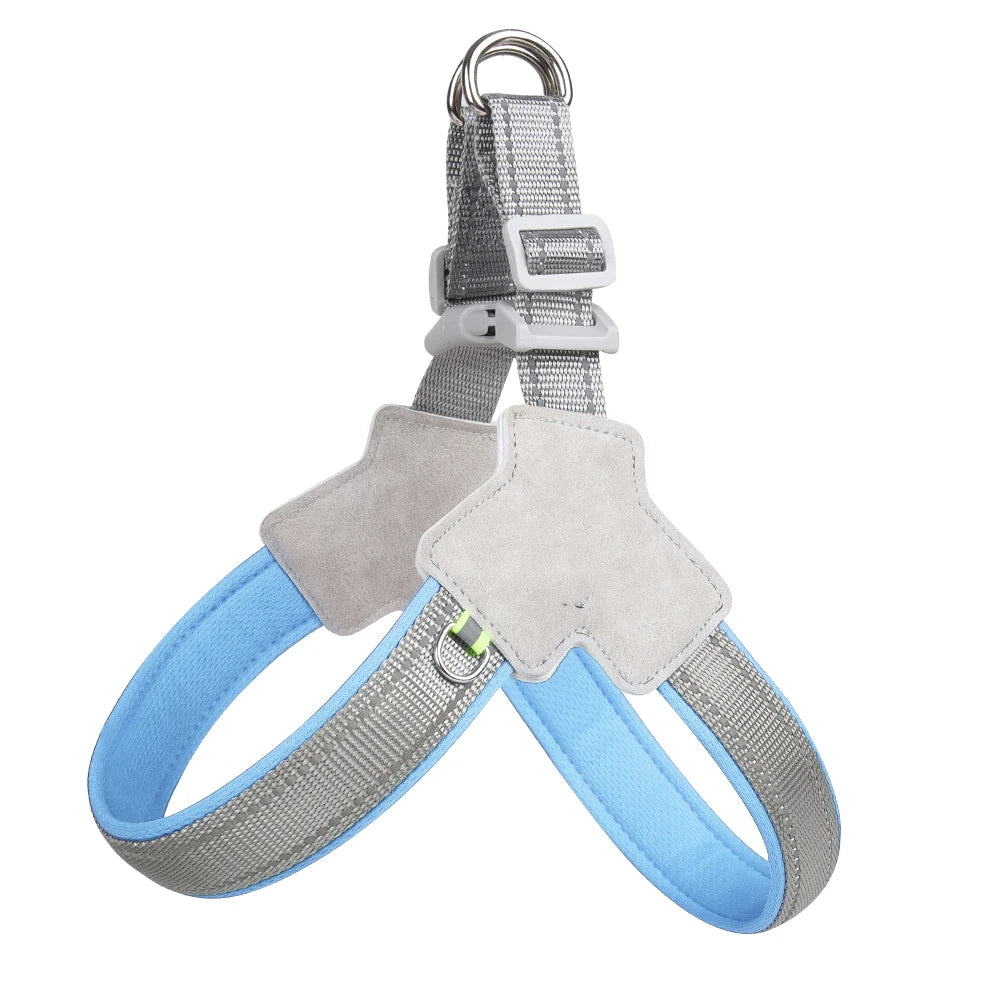 Saddle-Strap Harness