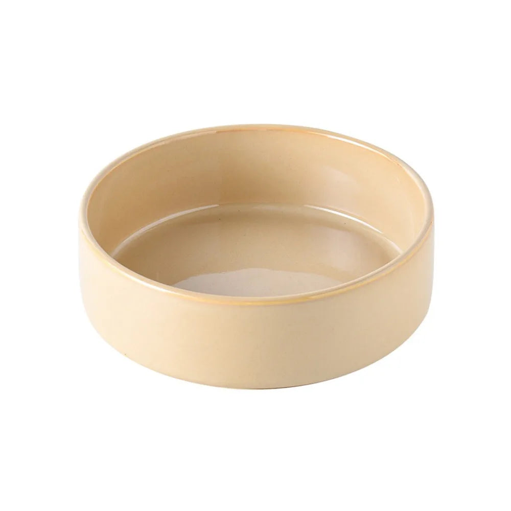 Ceramic Slow Feeder Bowl