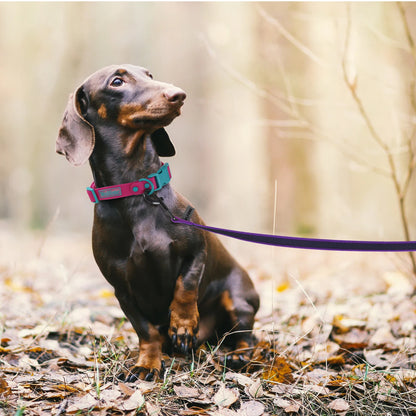 Extra Long Lead