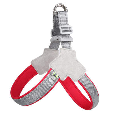 Saddle-Strap Harness
