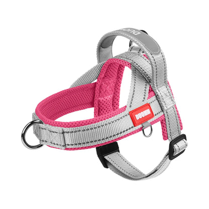 Saddle-Type Harness