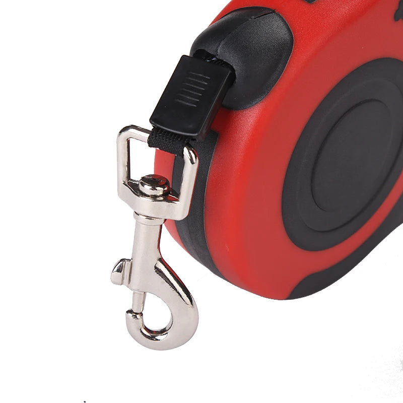 Retractable Lead